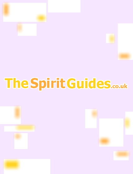 spirit guides AriLiz press release